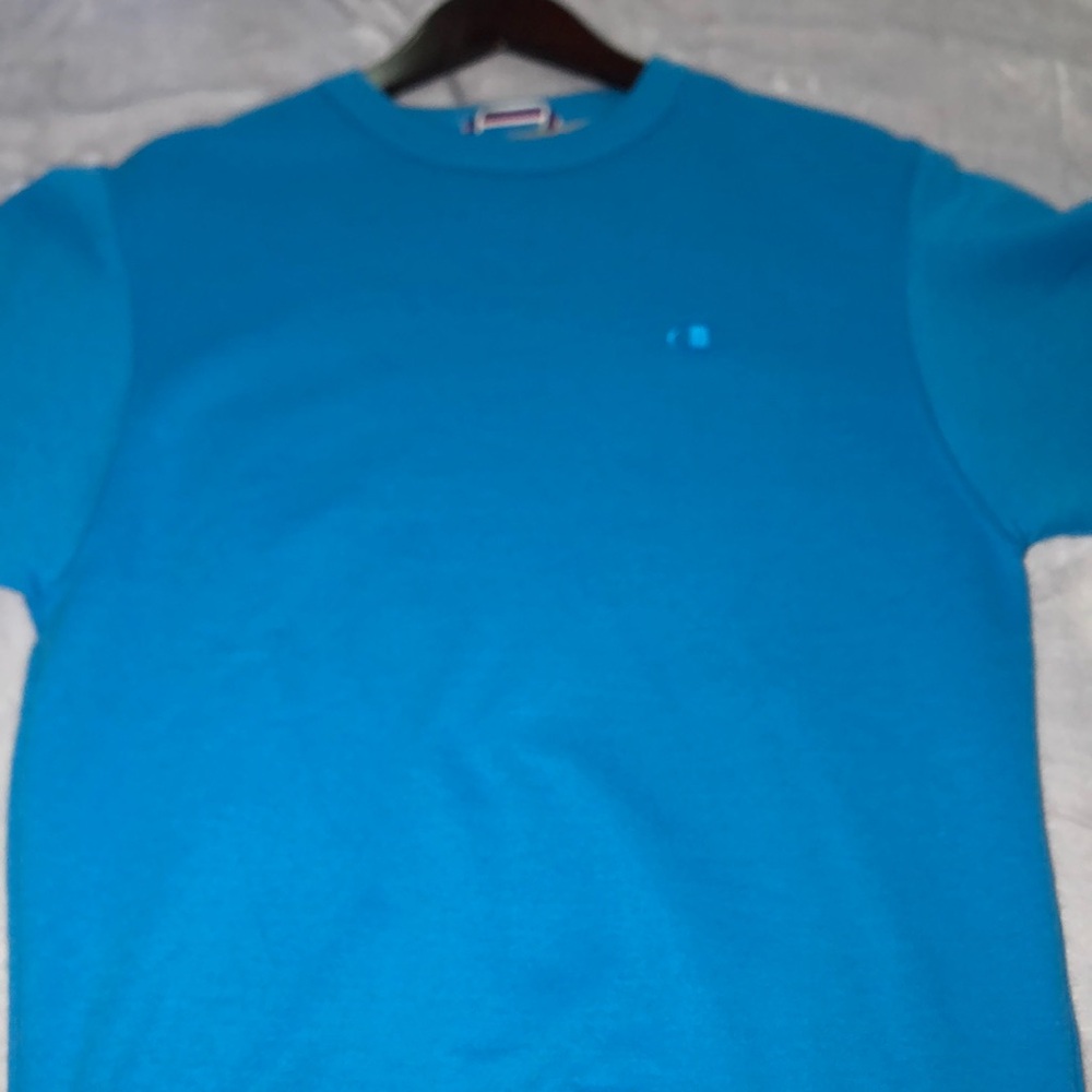 Champion sweater
